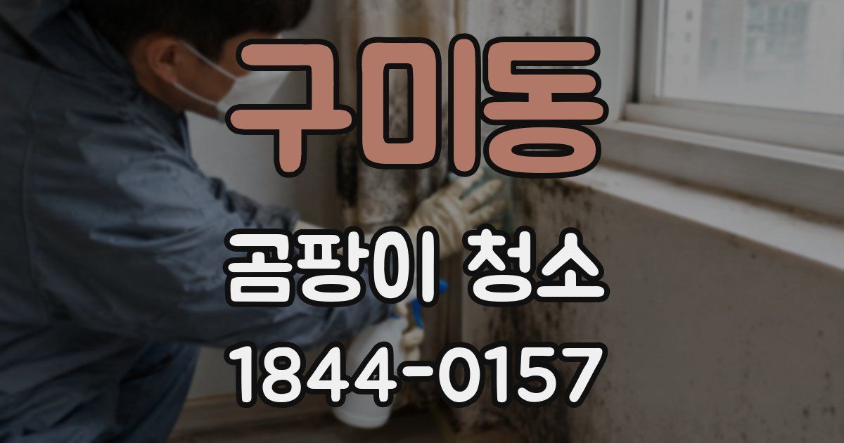 구미동 곰팡이 청소