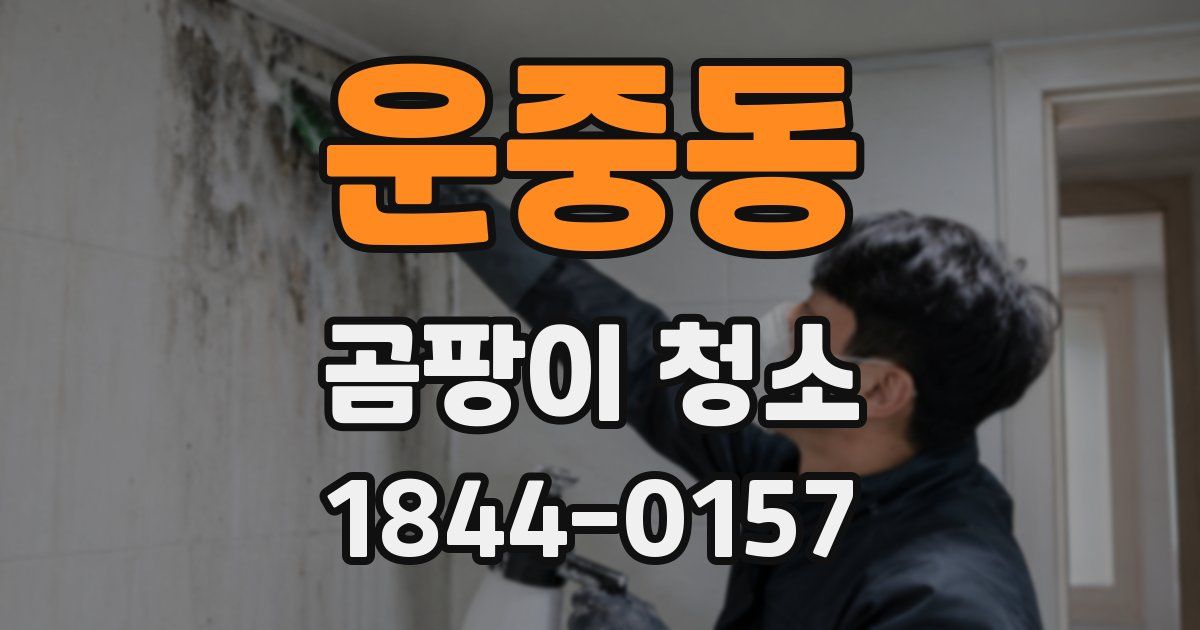 운중동 곰팡이 청소