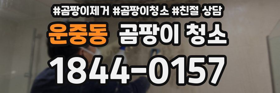 운중동 곰팡이 청소