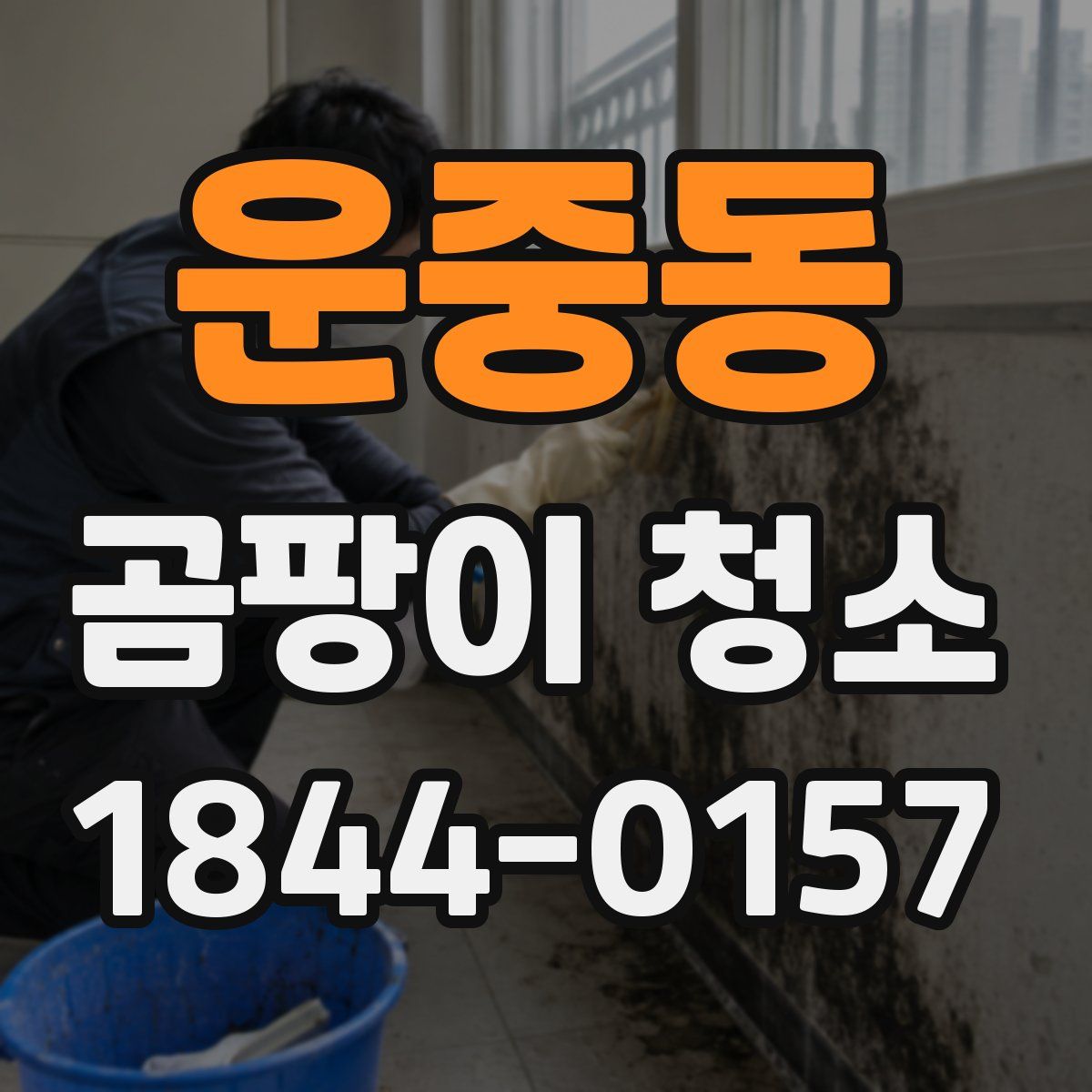운중동 곰팡이 청소