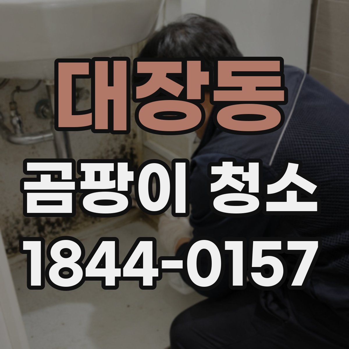 대장동 곰팡이 청소