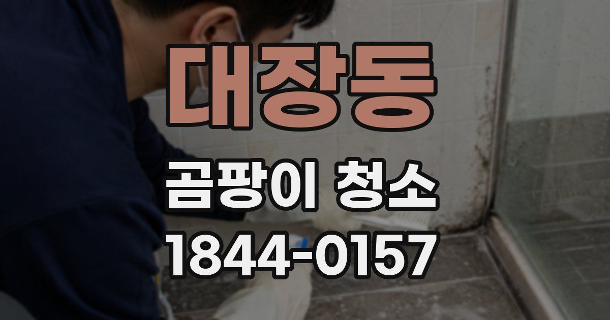 대장동 곰팡이 청소