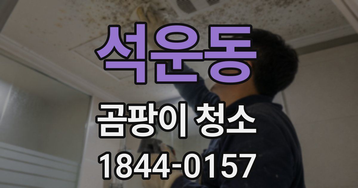 석운동 곰팡이 청소