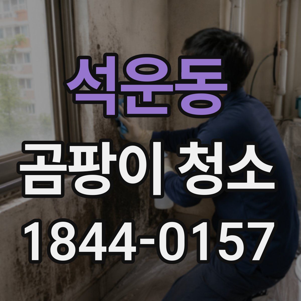 석운동 곰팡이 청소