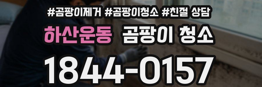 하산운동 곰팡이 청소