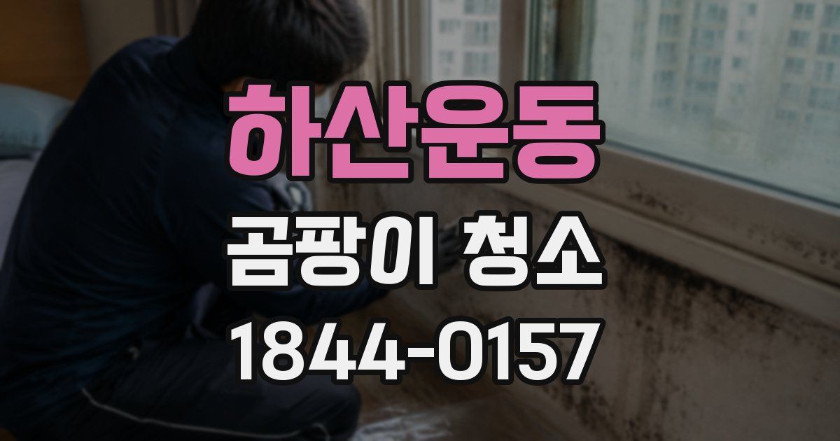하산운동 곰팡이 청소