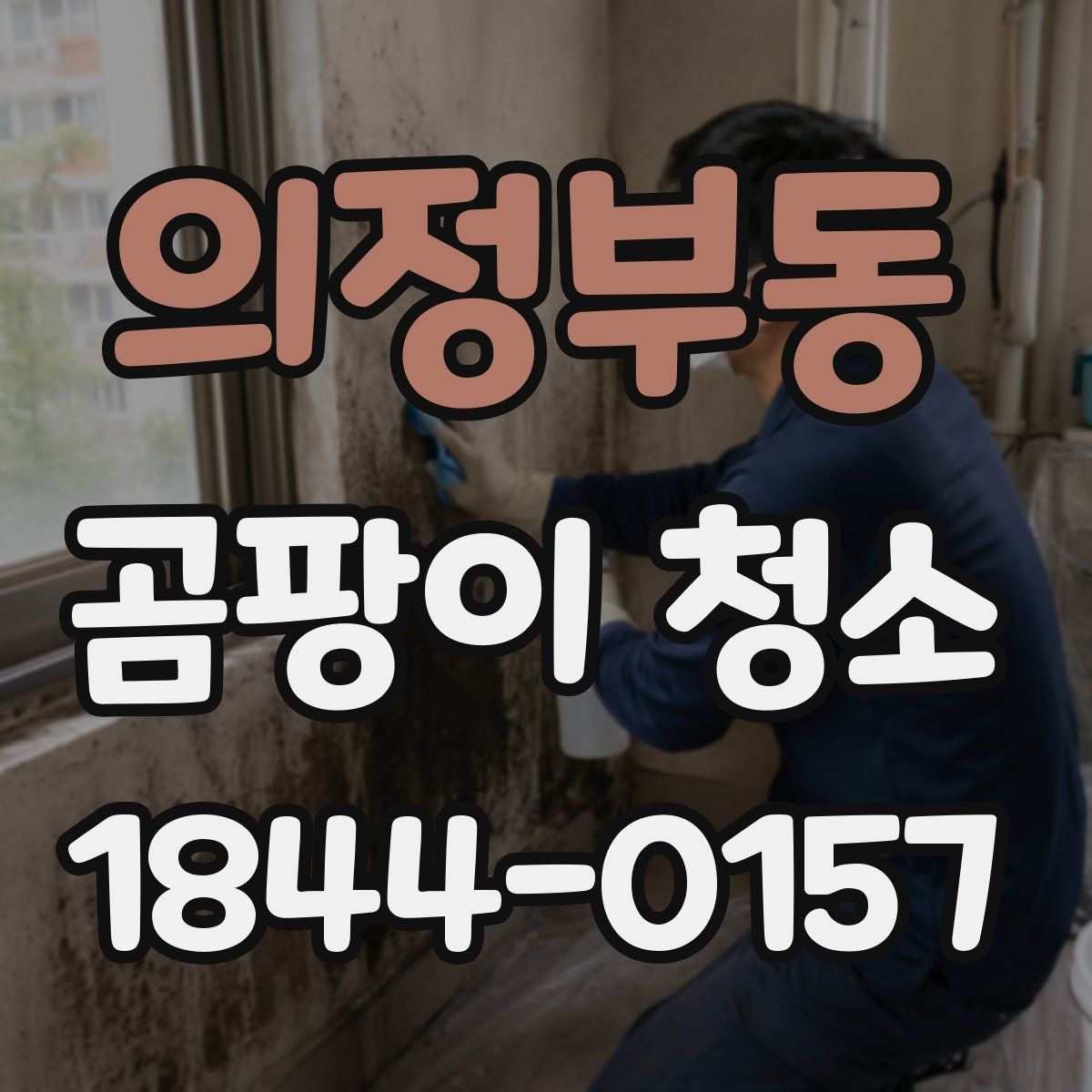 의정부동 곰팡이 청소
