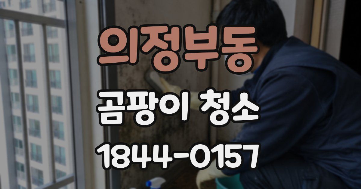 의정부동 곰팡이 청소