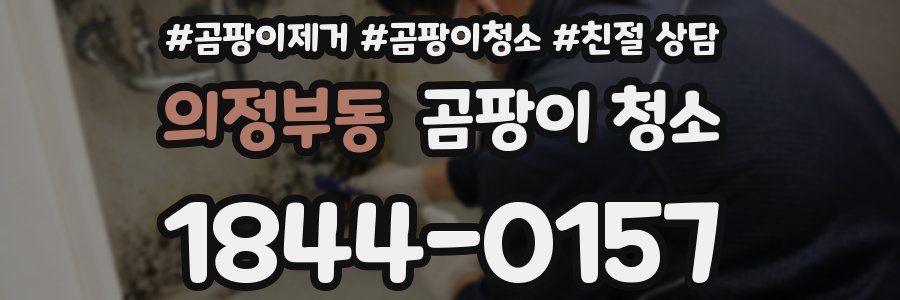 의정부동 곰팡이 청소