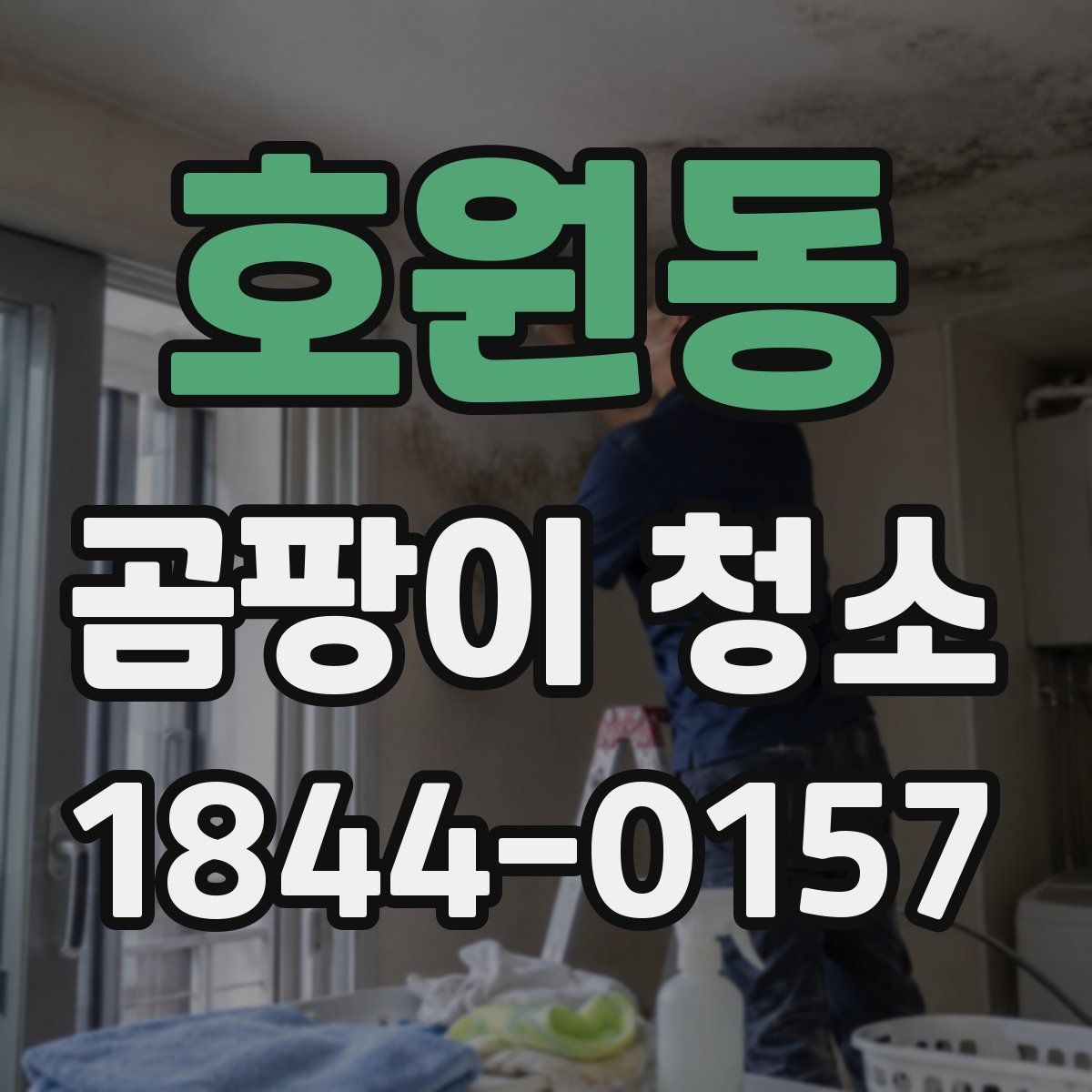호원동 곰팡이 청소