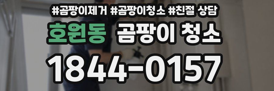 호원동 곰팡이 청소
