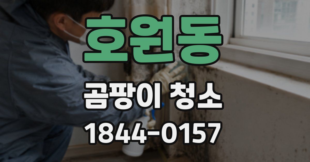 호원동 곰팡이 청소