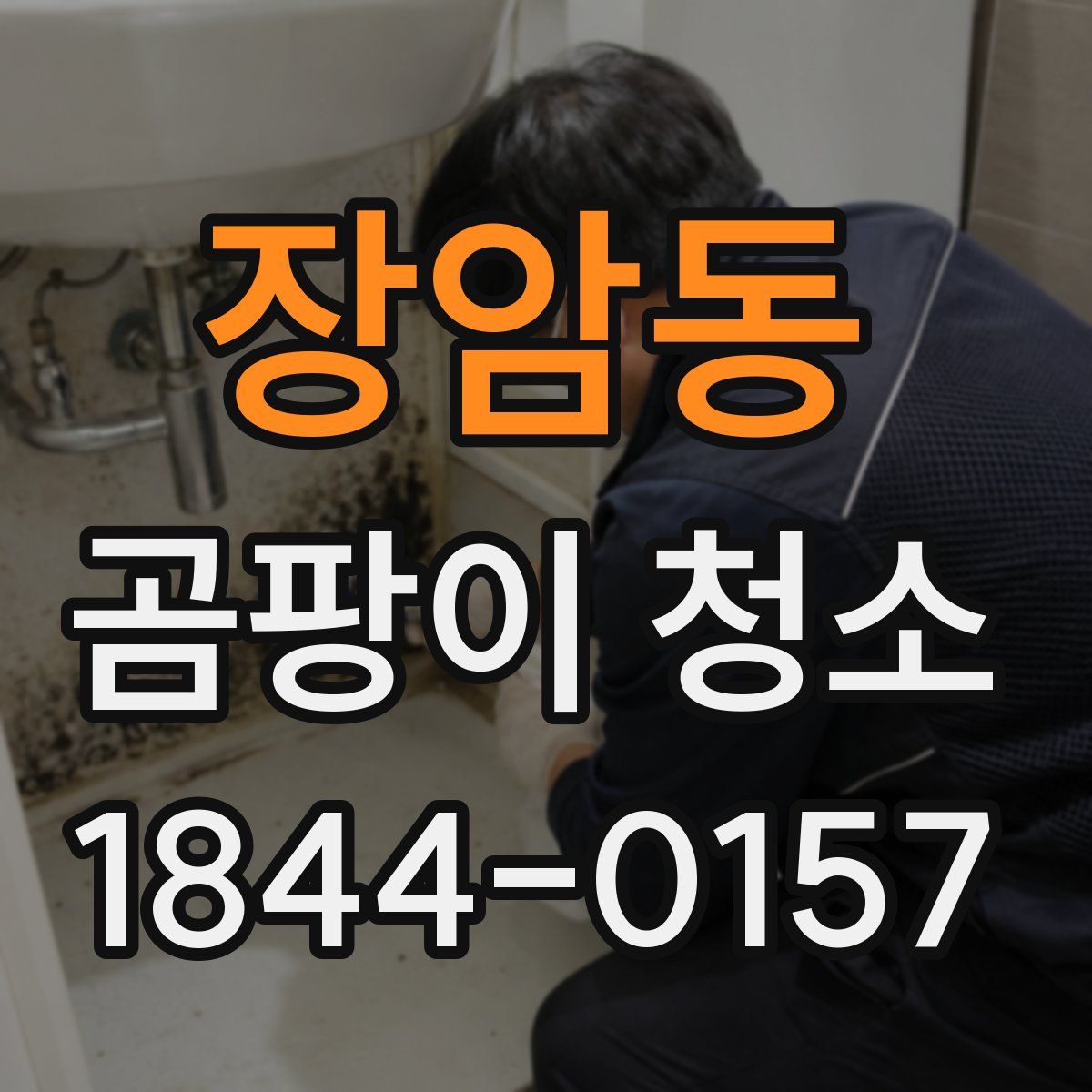 장암동 곰팡이 청소