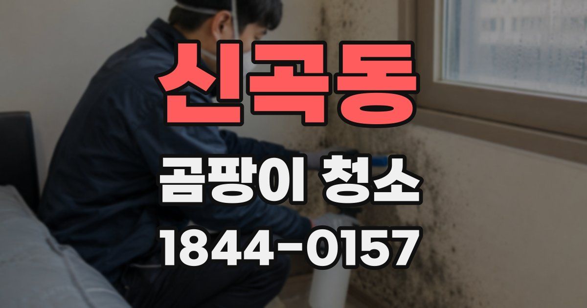 신곡동 곰팡이 청소