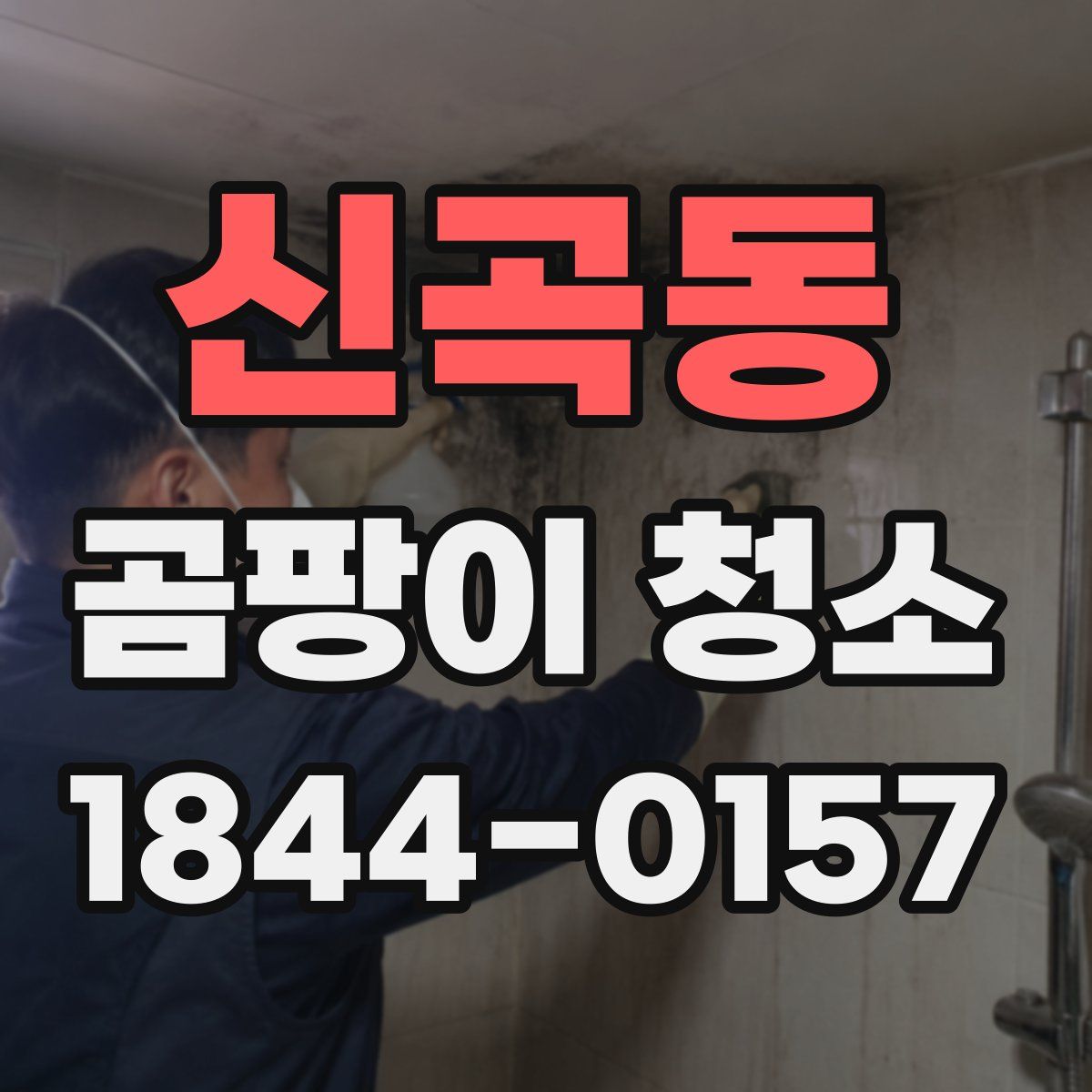 신곡동 곰팡이 청소