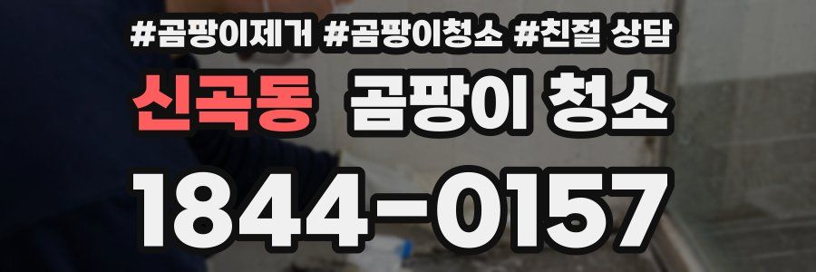 신곡동 곰팡이 청소