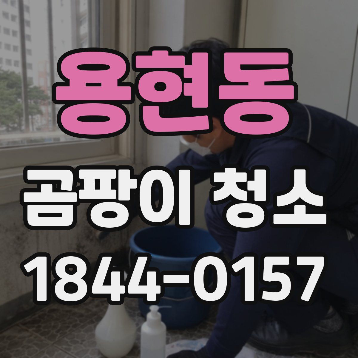 용현동 곰팡이 청소