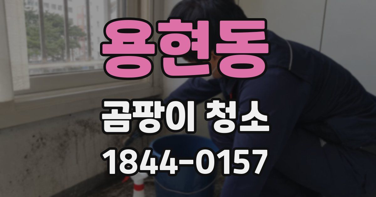 용현동 곰팡이 청소