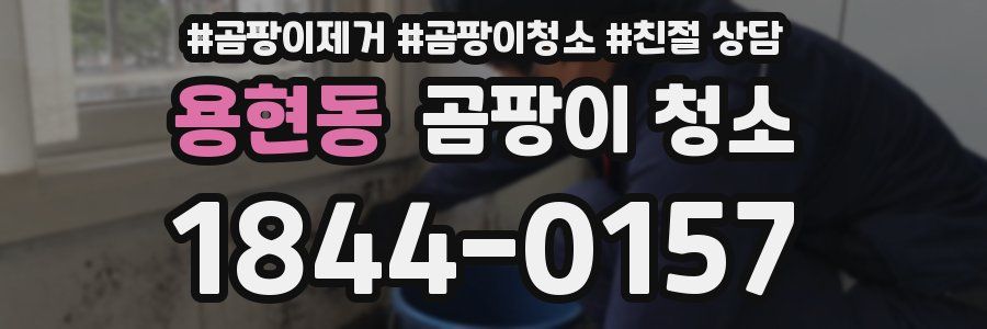 용현동 곰팡이 청소