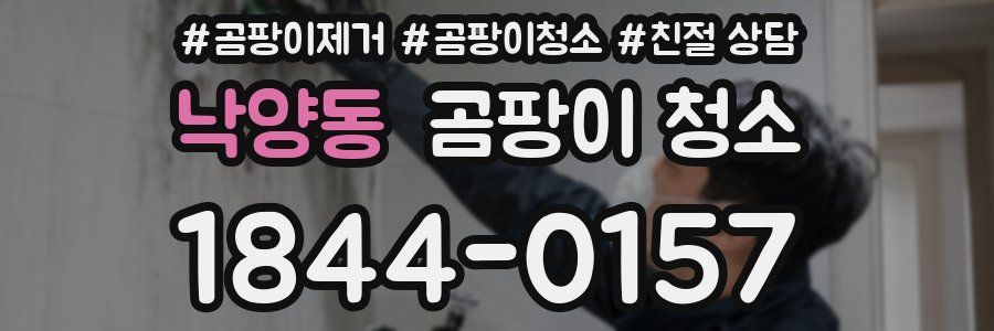 낙양동 곰팡이 청소