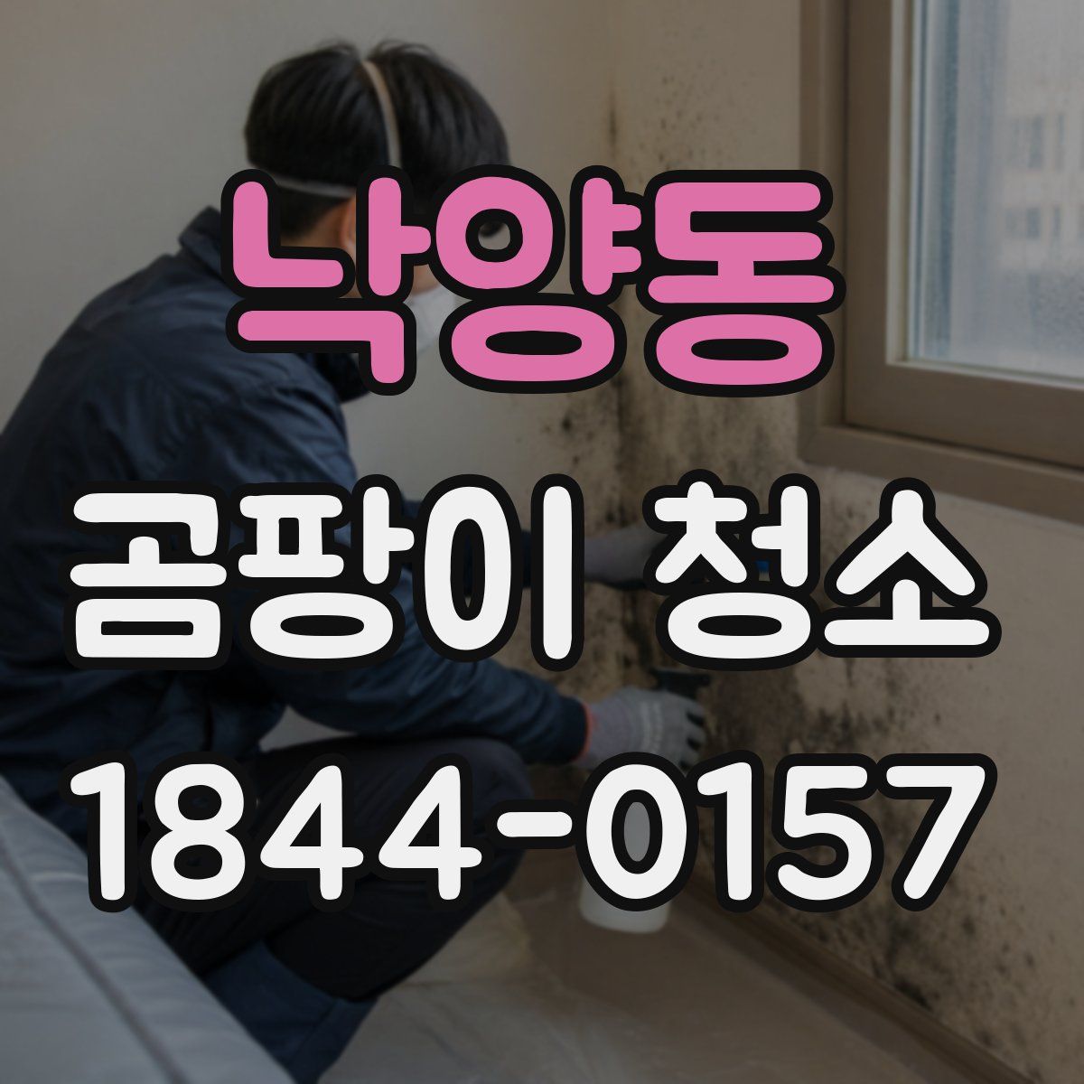 낙양동 곰팡이 청소