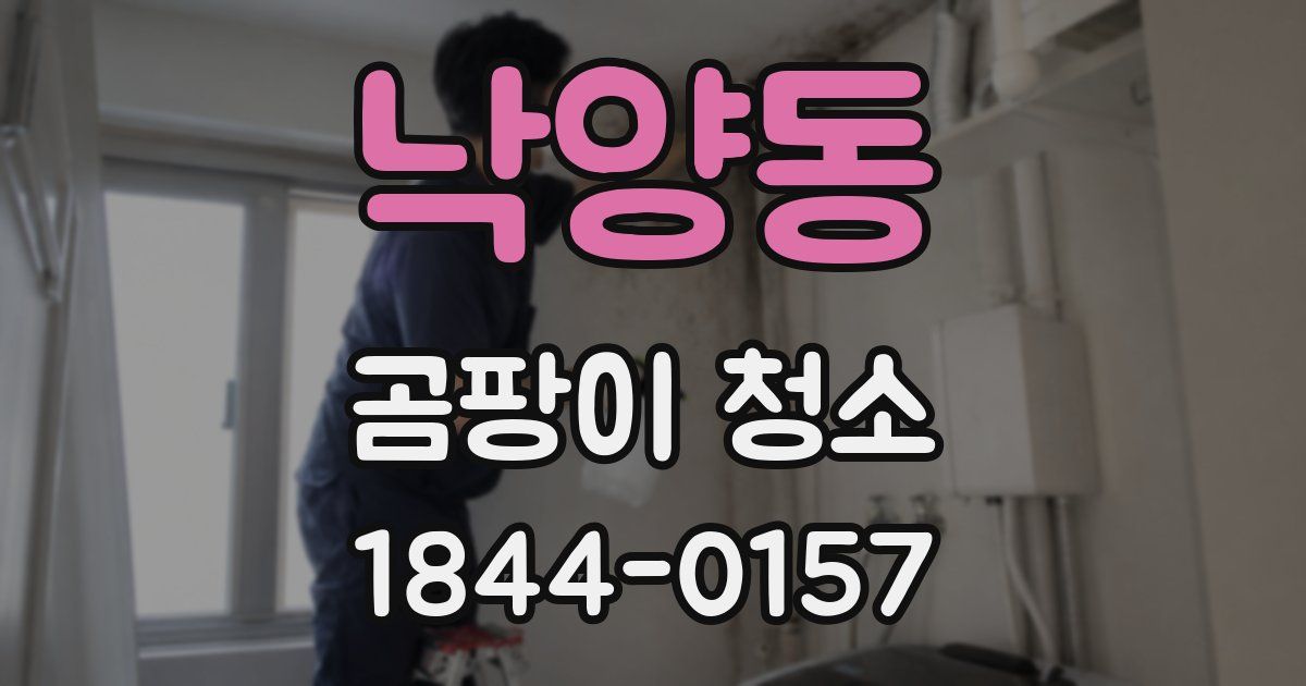낙양동 곰팡이 청소