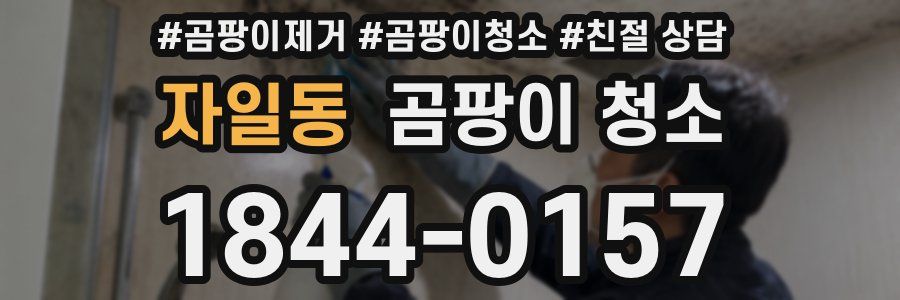 자일동 곰팡이 청소