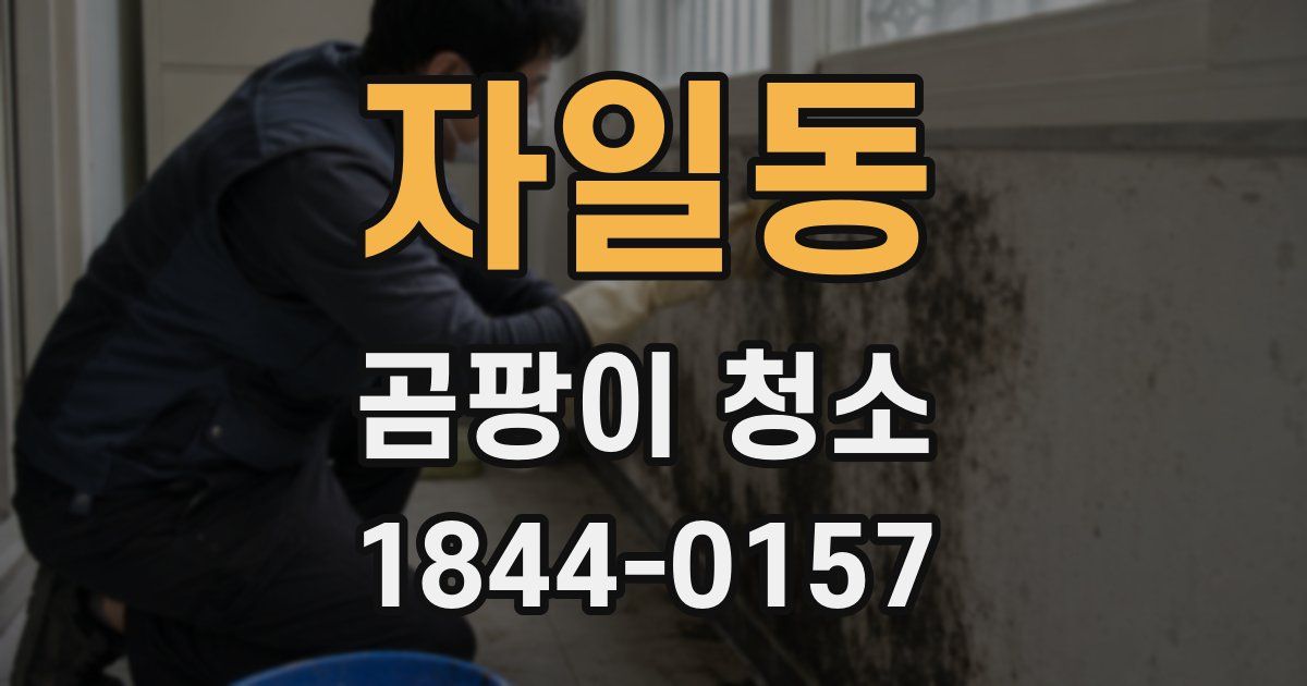 자일동 곰팡이 청소