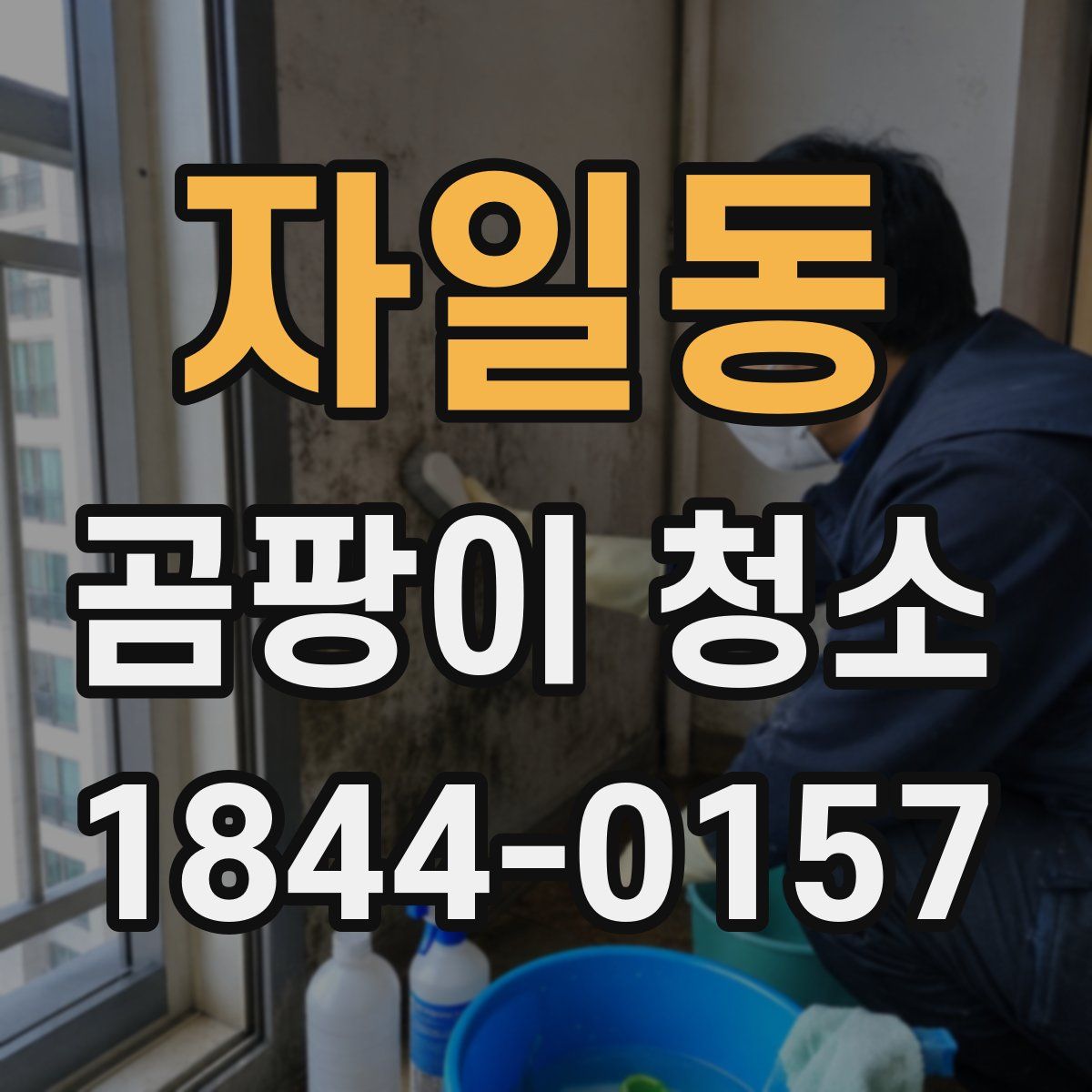 자일동 곰팡이 청소