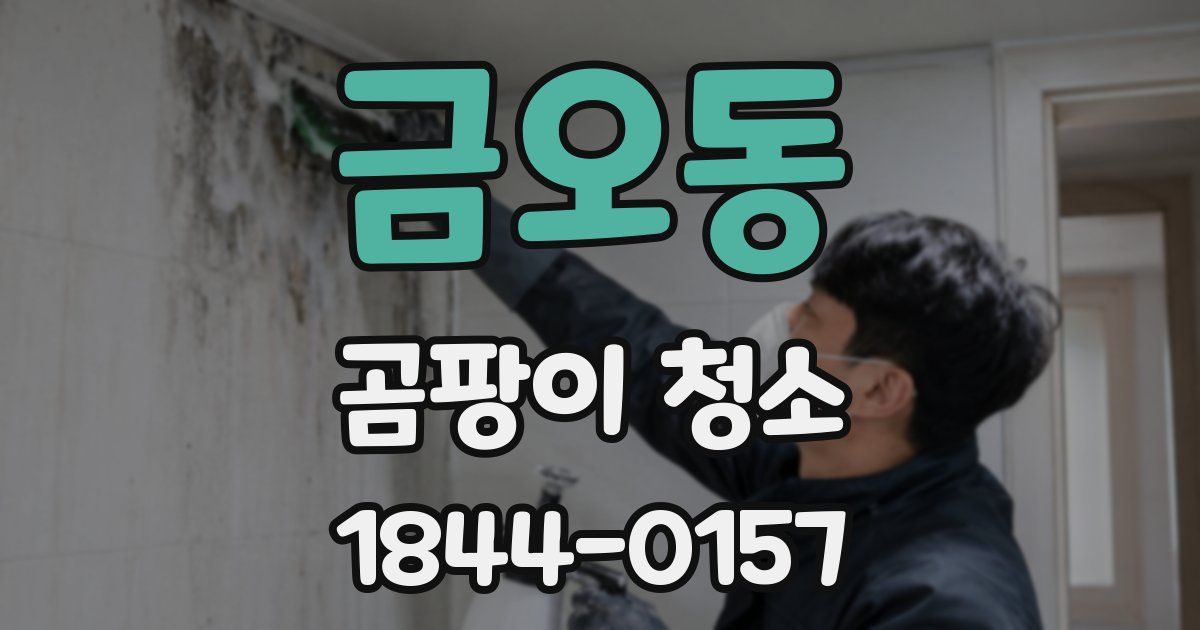 금오동 곰팡이 청소