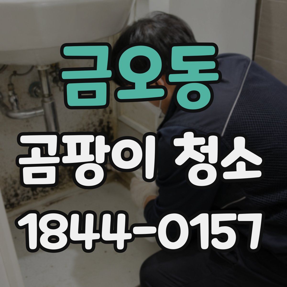 금오동 곰팡이 청소