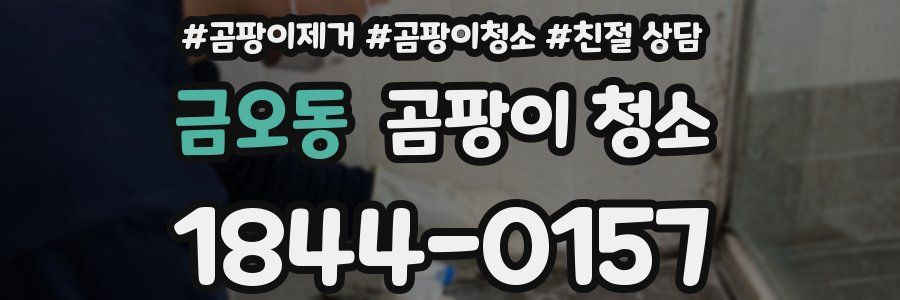 금오동 곰팡이 청소
