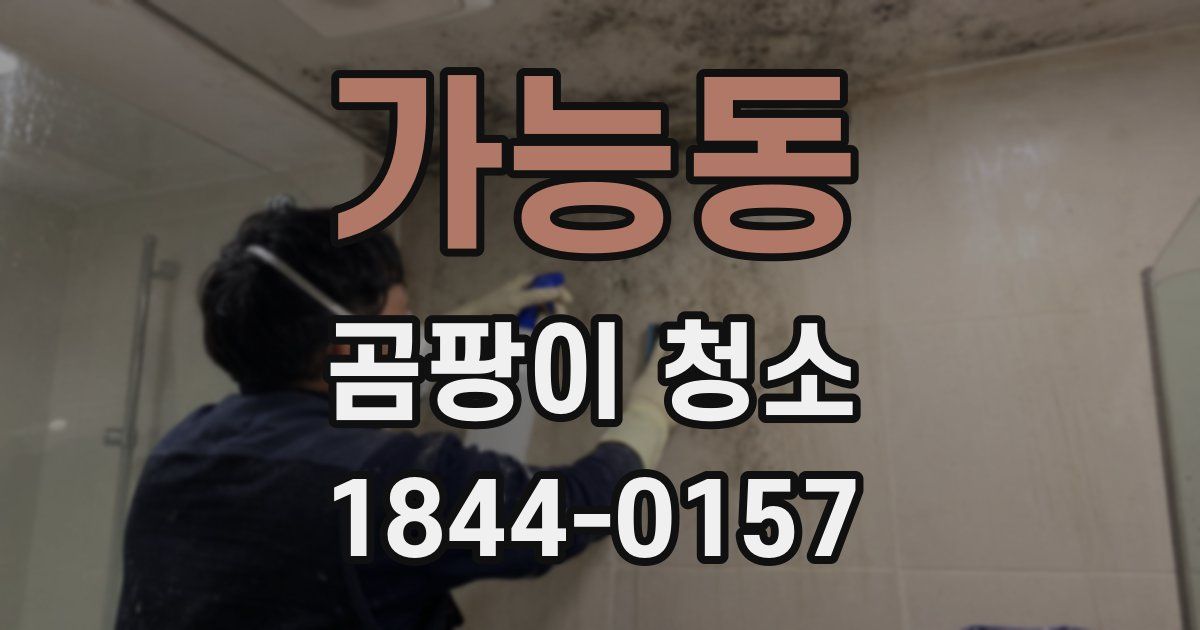 가능동 곰팡이 청소
