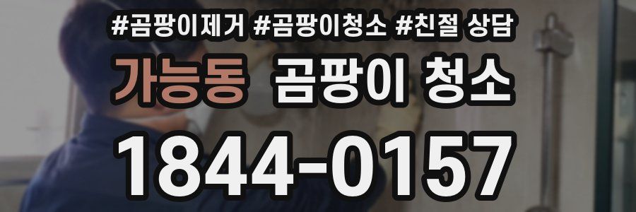 가능동 곰팡이 청소