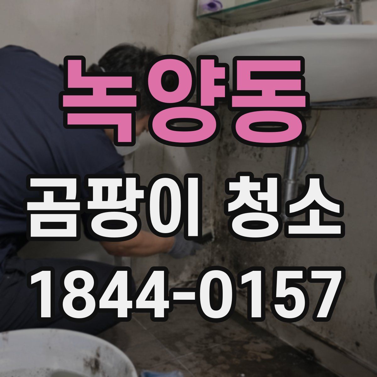 녹양동 곰팡이 청소