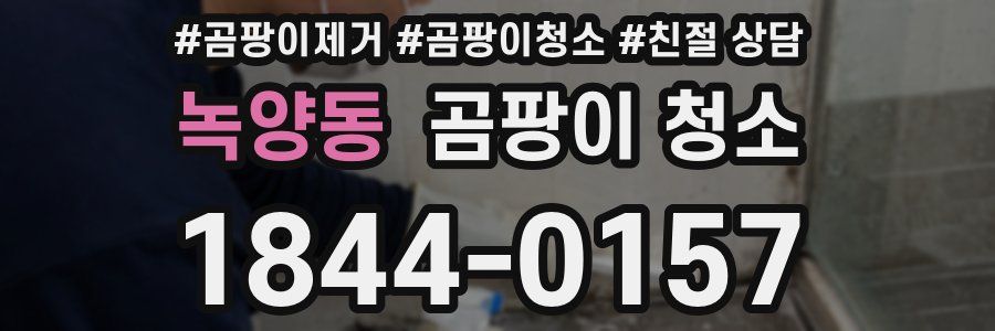 녹양동 곰팡이 청소