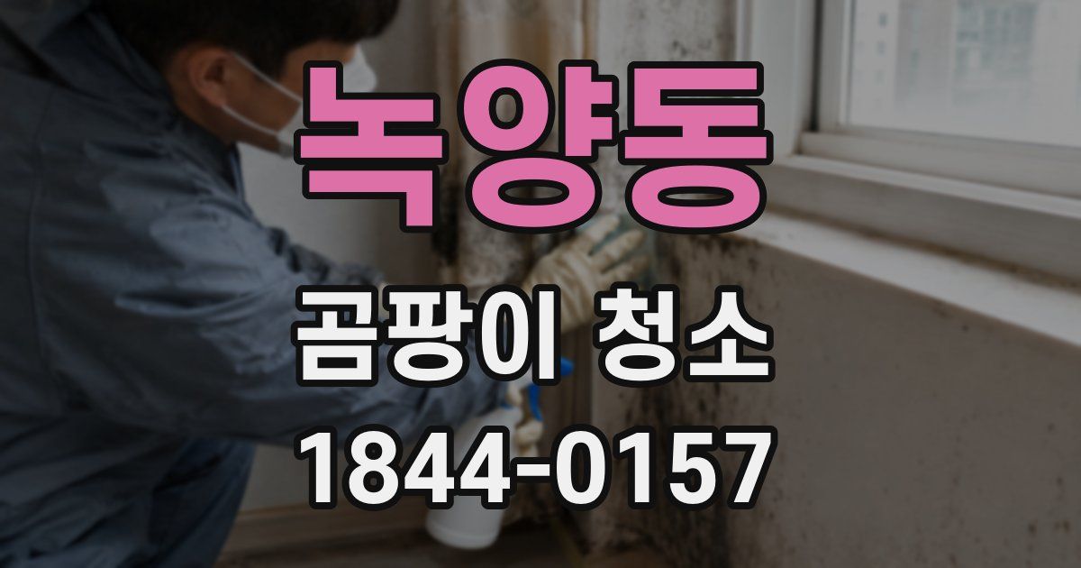 녹양동 곰팡이 청소