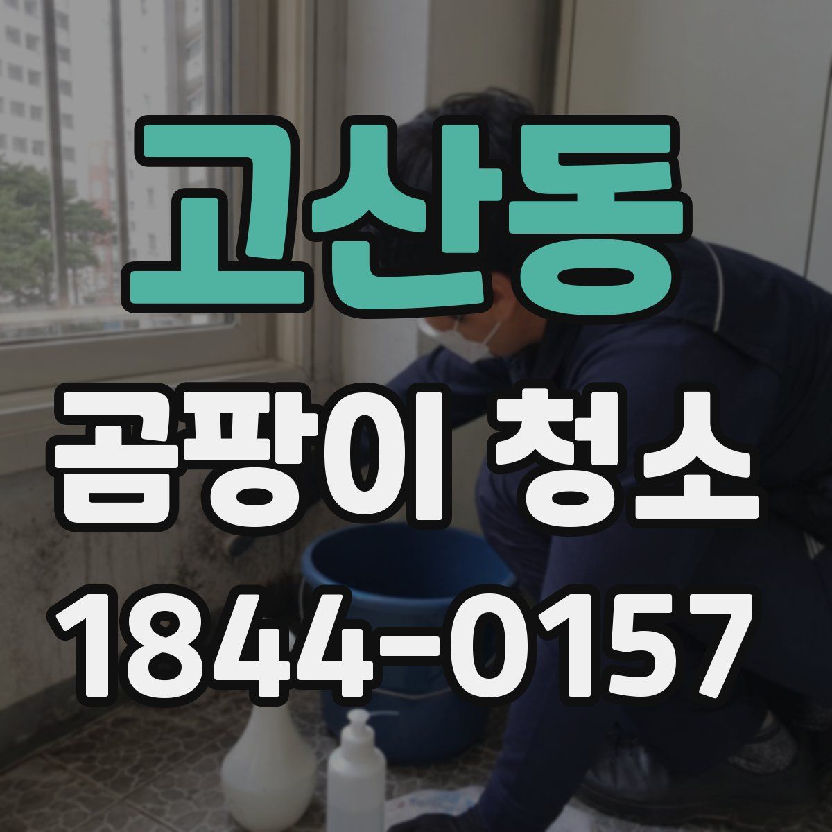 고산동 곰팡이 청소