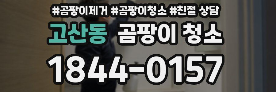 고산동 곰팡이 청소
