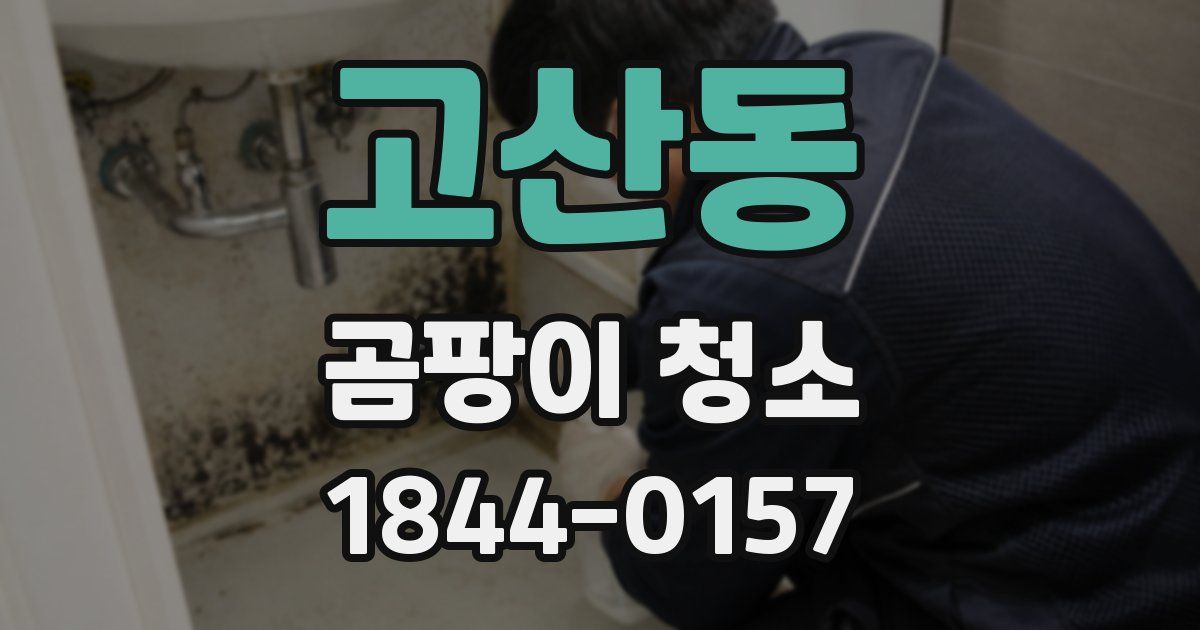 고산동 곰팡이 청소