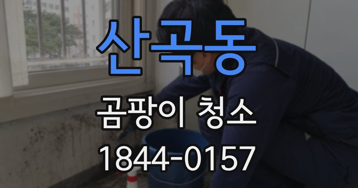 산곡동 곰팡이 청소