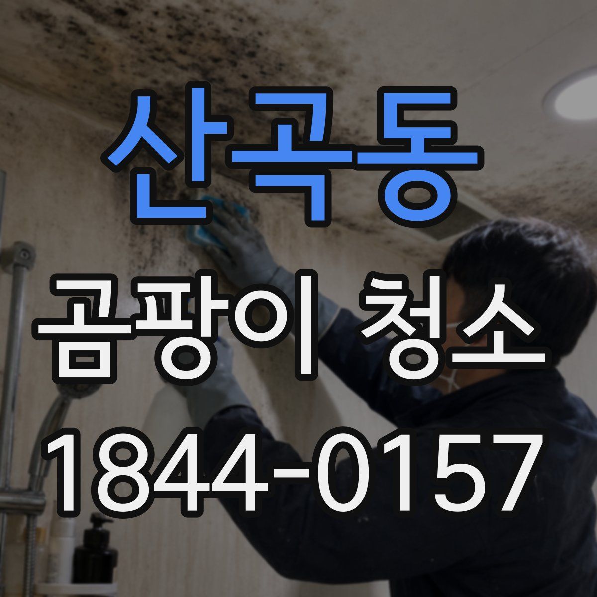 산곡동 곰팡이 청소