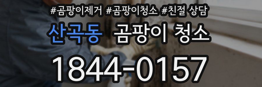 산곡동 곰팡이 청소