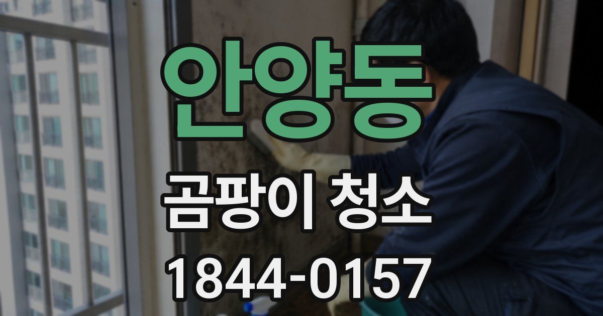 안양동 곰팡이 청소