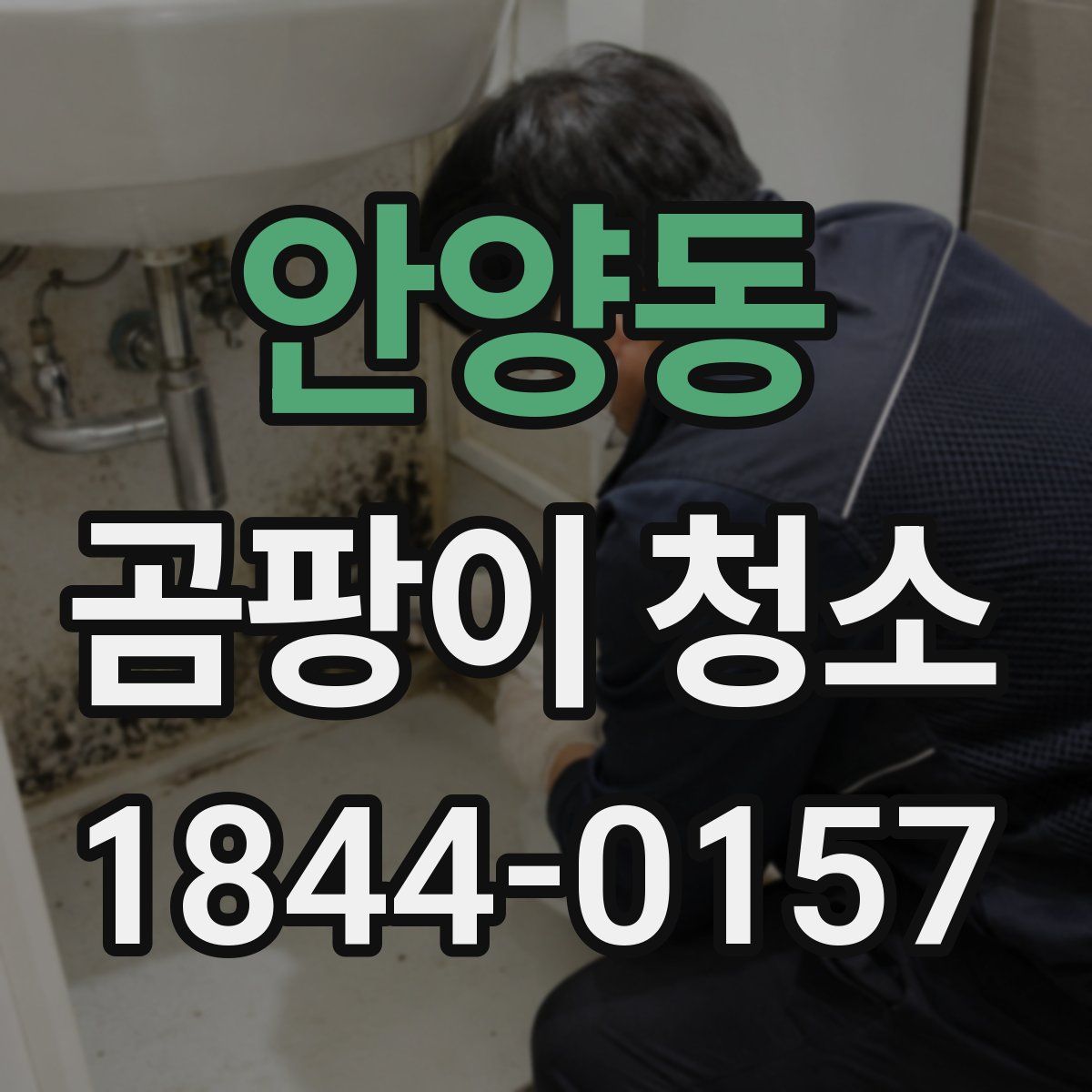 안양동 곰팡이 청소