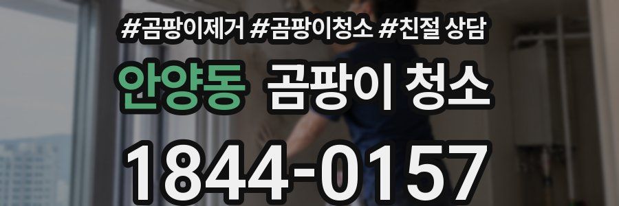 안양동 곰팡이 청소