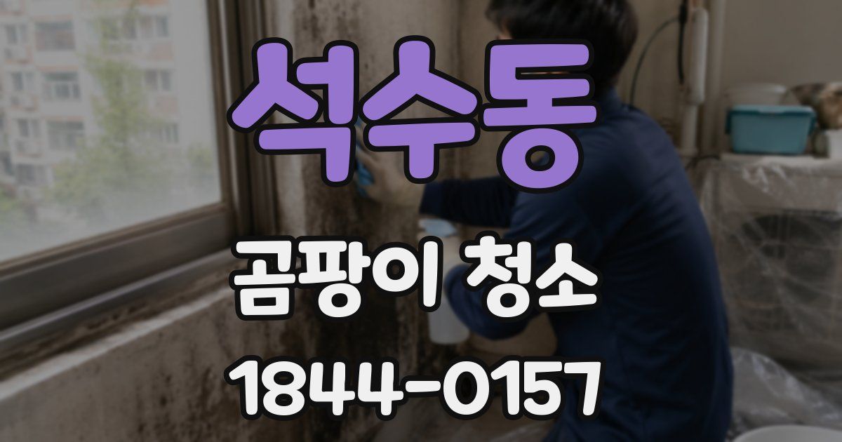 석수동 곰팡이 청소