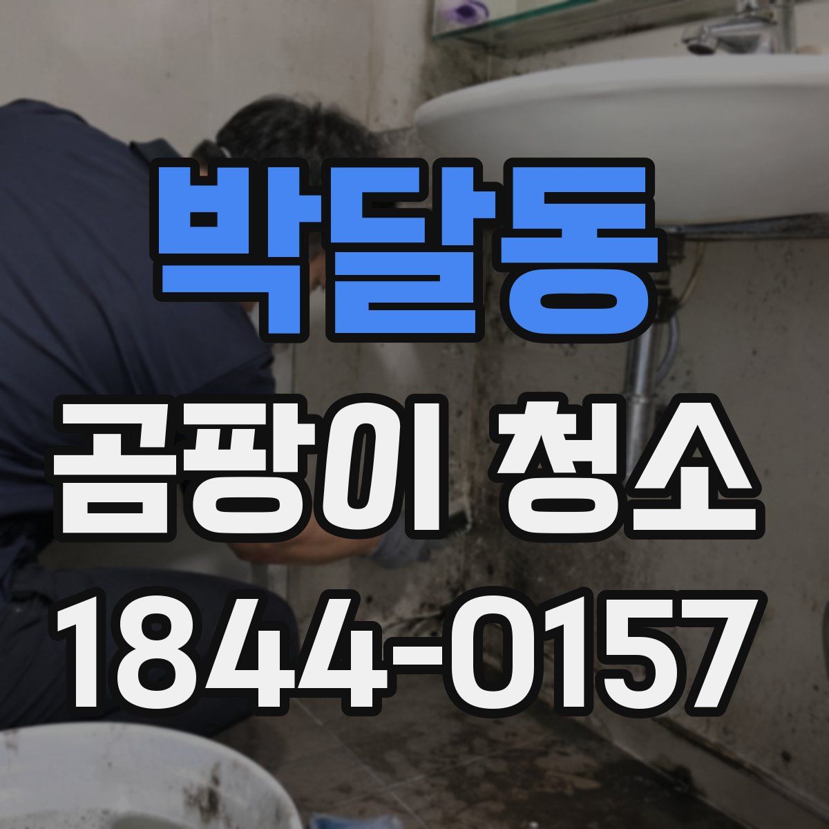 박달동 곰팡이 청소