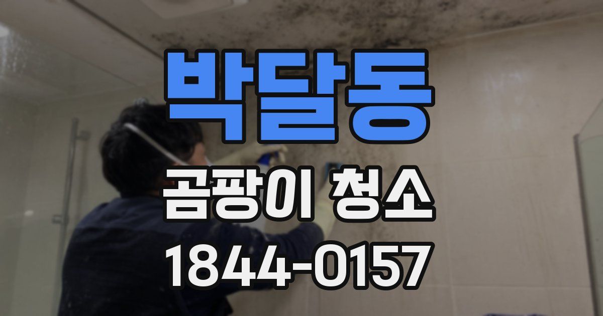 박달동 곰팡이 청소