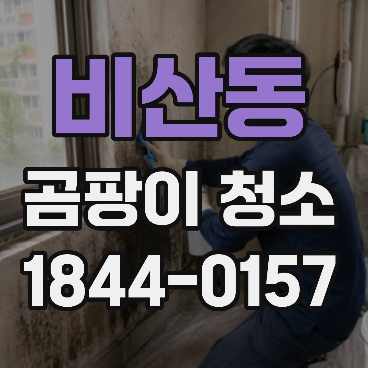 비산동 곰팡이 청소 상담 시 자주 나오는 질문